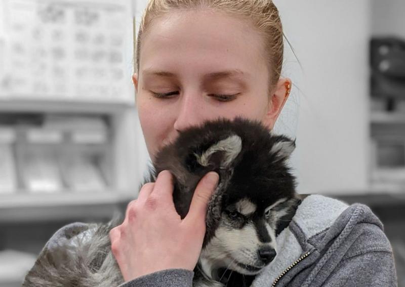 animal house grooming green bay Achieving Good Blawker Gallery Of Images